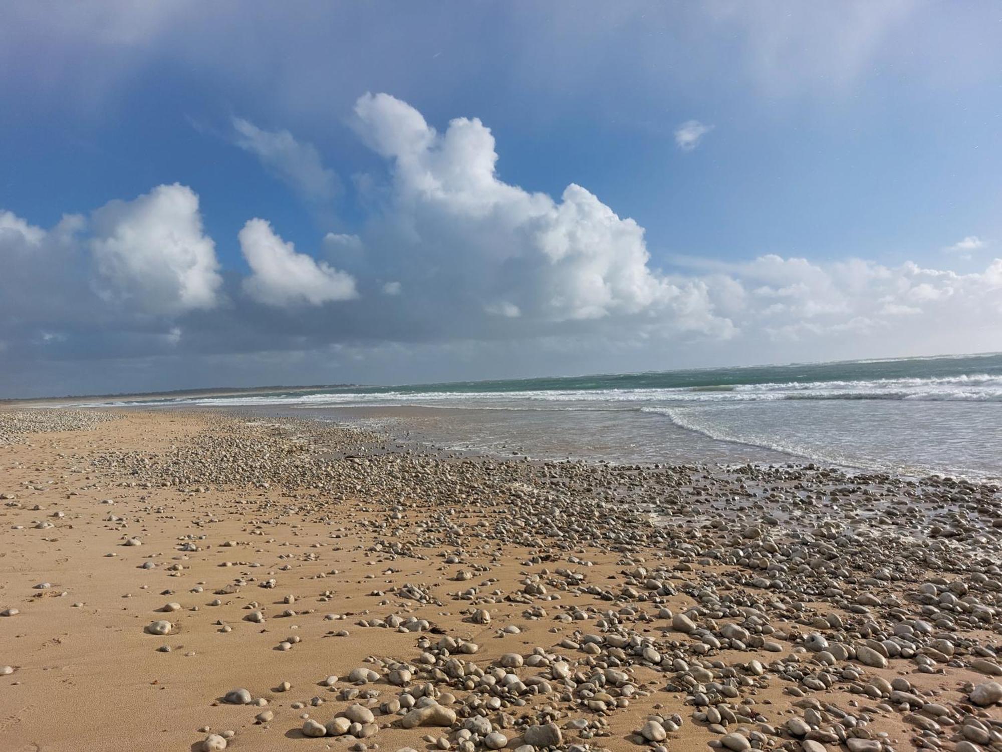 Maison A 8 Min A Pied De La Plage Avec Jardin Clos Et Ombrage Saint-Georges-d'Oleron Buitenkant foto