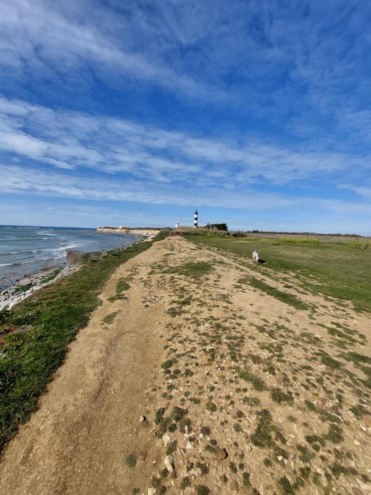 Maison A 8 Min A Pied De La Plage Avec Jardin Clos Et Ombrage Saint-Georges-d'Oleron Buitenkant foto